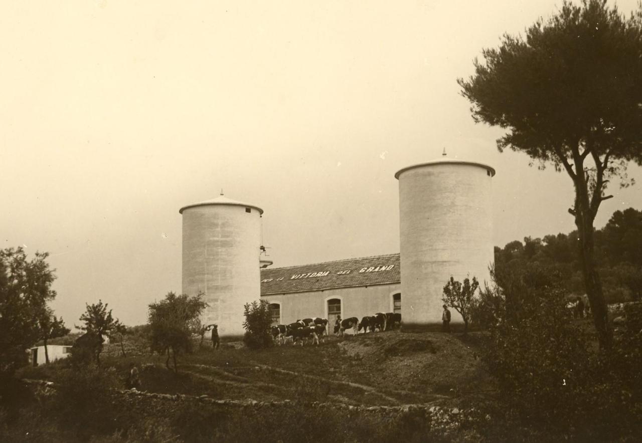 Rocca Sul Mare Hotel Vieste Exterior foto